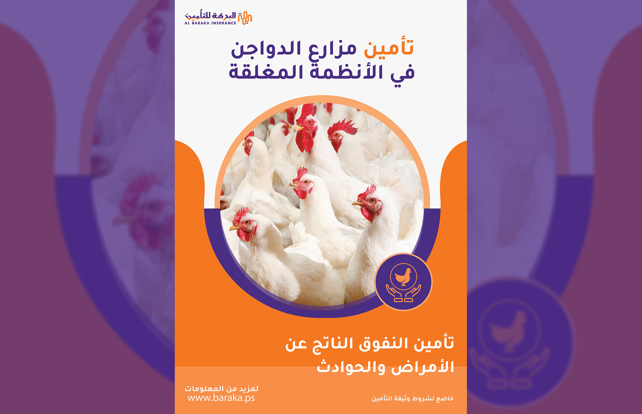 تعرف على تأمين مزارع الدواجن في الأنظمة المغلقة 🐔 الذي تقدمه شركة البركة للتأمين الإسلامي